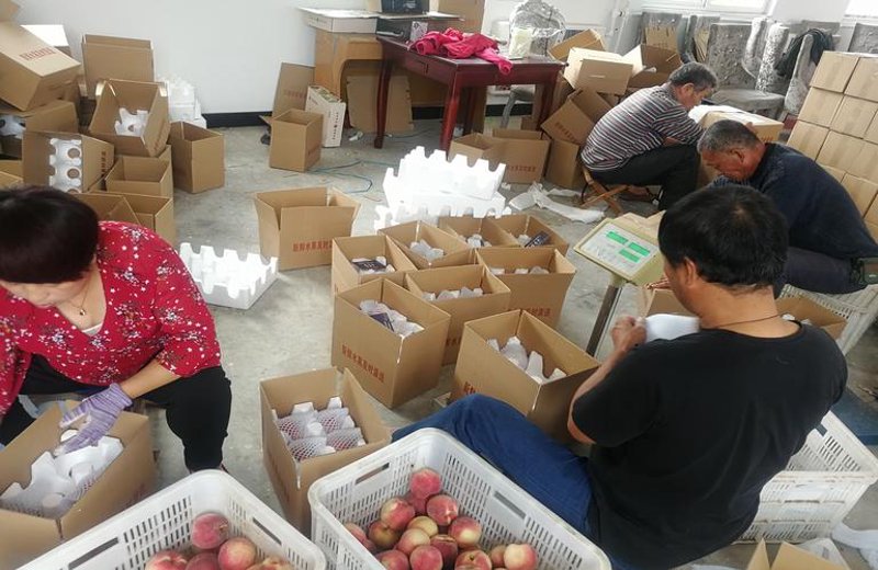农产品电商