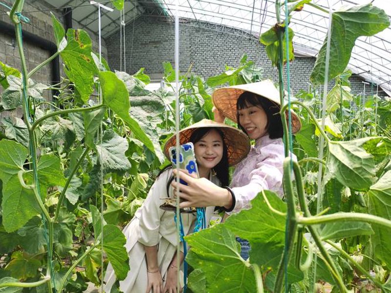 电子商务服务部助力海阳本地产业转型升级